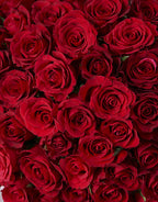 Festive rose bouquet